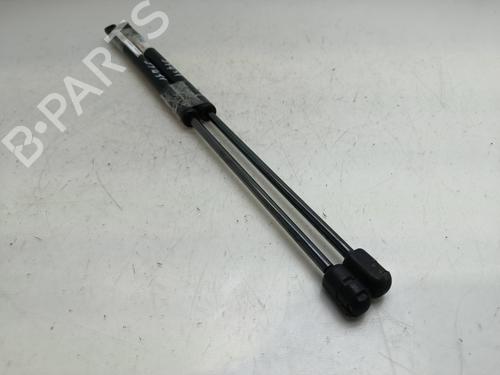 Hood lift support AUDI Q7 (4LB) 4.2 TDI quattro | BP28536040C139