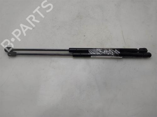 tailgate-lift-support-renault-megane-iv-hatchback-b9amn_-2015-38317607 main image