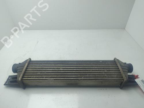 Used Intercooler SSANGYONG REXTON / REXTON II (GAB_) 2.7 Xdi (163 hp) 29620016