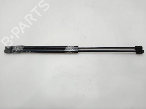 tailgate-lift-support-renault-scenic-i-mpv-ja01_-fa0_-1999-2000-2001-2002-2003-2004-2005-2006-2007-2008-2009-2010-31337210 main image