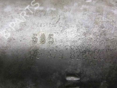 Starter PEUGEOT 206 Hatchback (2A/C) 1.4 LPG | BP2856898M8 