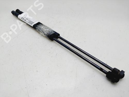 Tailgate lift support FORD FOCUS II (DA_, HCP, DP) 1.6 TDCi | BP30560869C138