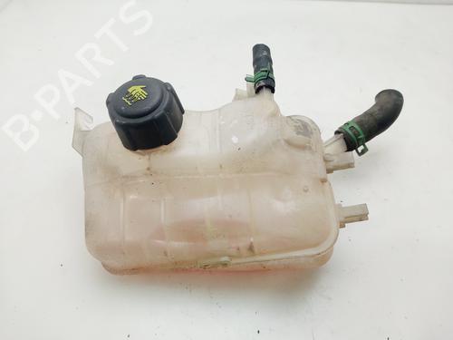 Ekpansionstank Ekpansionstank RENAULT SCÉNIC III (JZ0/1_) [2008-2016] 34226811 34226811