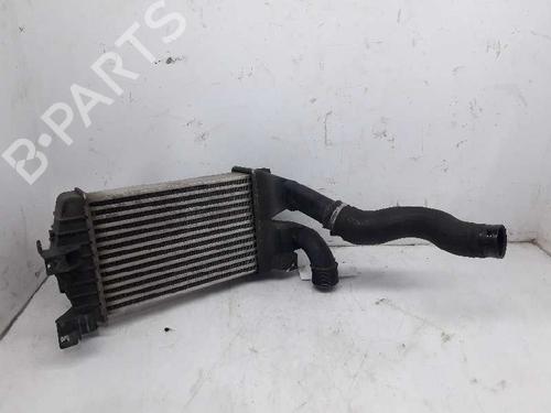 Used Intercooler OPEL ZAFIRA / ZAFIRA FAMILY B (A05) [2005-2019]  2873766
