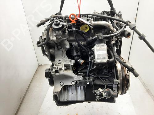 Engine VW TIGUAN (5N_) | BP36433796M1 - Image 4