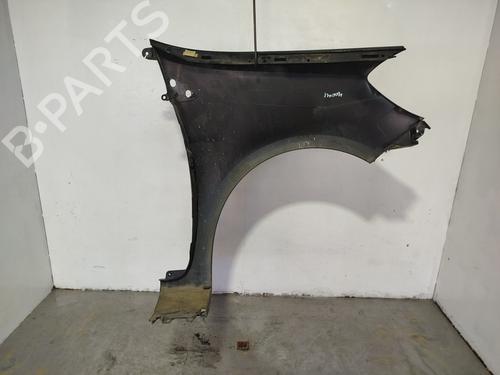 Left front fenders RENAULT CLIO III (BR0/1, CR0/1)  | BP30882371C41 