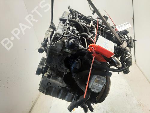 Engine VW TIGUAN (5N_)  | BP31983848M1 