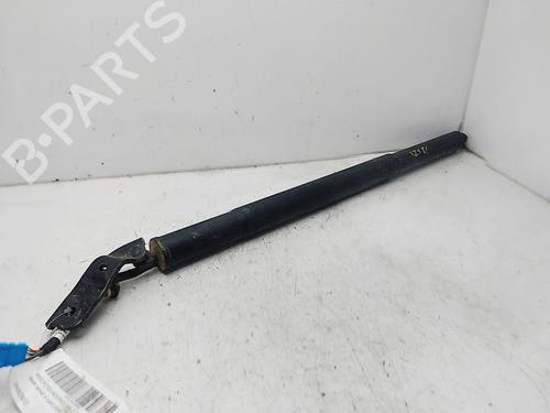 Used Tailgate lift support BMW X7 (G07) xDrive 40 d Mild-Hybrid (340 hp) 29531504