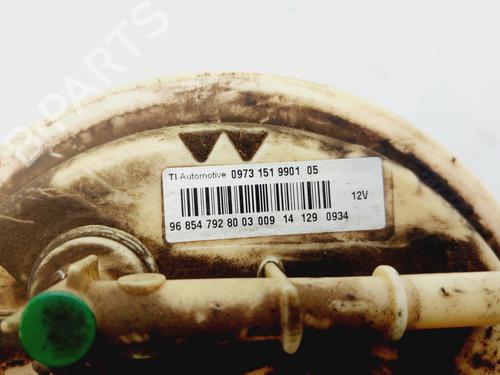 Fuel pump CITROËN C3 II (SC_)  | BP29137856M76 