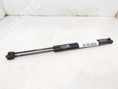 Used Tailgate lift support RENAULT SCÉNIC II (JM0/1_) 1.9 dCi (JM0G, JM12, JM1G, JM2C) (120 hp) 14001631