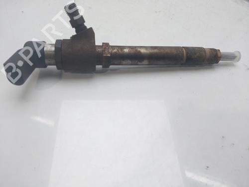 Injector LAND ROVER DISCOVERY III (L319) 2.7 TD 4x4 | BP12991158M100 