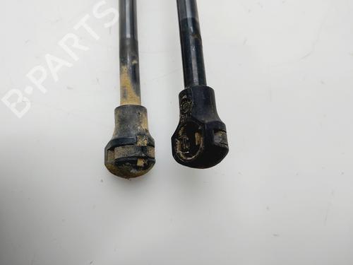 Tailgate lift support CITROËN C3 II (SC_) | BP30870495C138