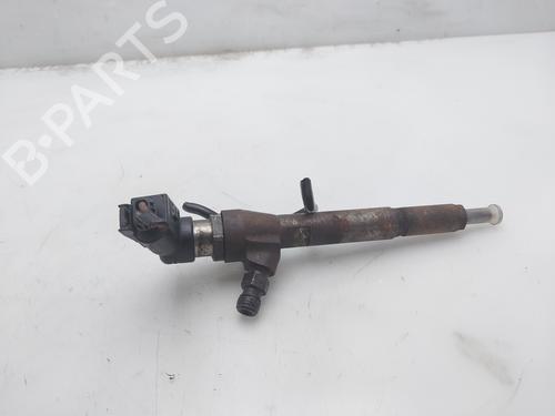 Injector RENAULT MEGANE II Saloon (LM0/1_)  | BP17710786M100 