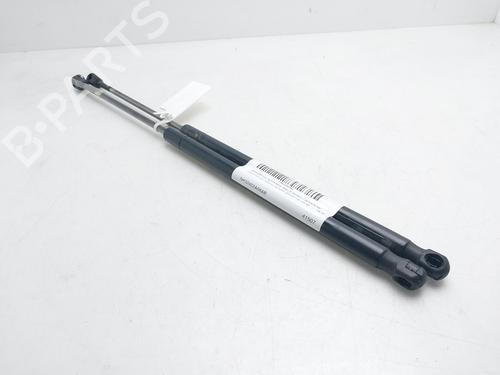 Used Tailgate lift support Tailgate lift support LAND ROVER RANGE ROVER SPORT I (L320) 3.0 D 4x4 (245 hp) 36019948 36019948