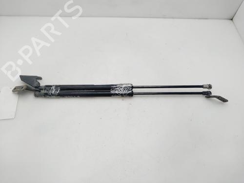 Used Tailgate lift support NISSAN QASHQAI I (J10, NJ10) 1.5 dCi (106 hp) 29750534