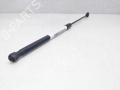 Tailgate lift support MERCEDES-BENZ A-CLASS (W169) A 160 (169.031, 169.331) | BP14009688C138 