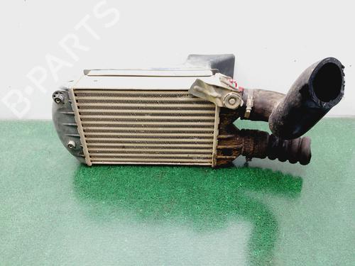 Intercooler FIAT MULTIPLA (186_) 1.9 JTD 110 (110 hp) 25938118