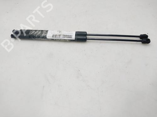 Gassdemper Bakluke VW TIGUAN (5N_) [2007-2018]  23222708