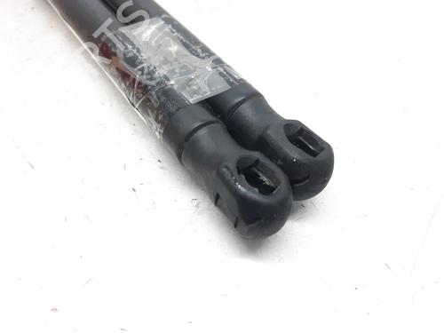 Tailgate lift support MERCEDES-BENZ A-CLASS (W169) A 180 CDI (169.007, 169.307) | BP13999379C138 