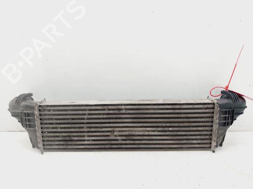 Intercooler BMW X5 (E53) 3.0 d | BP20330243M30 