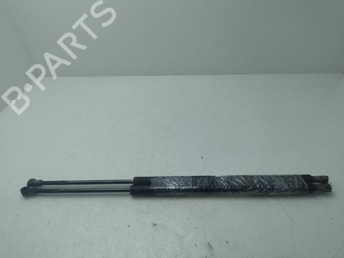 Tailgate lift support BMW X5 (E53)  | BP27674321C138 