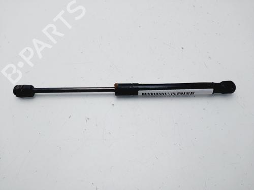Hood lift support LAND ROVER RANGE ROVER EVOQUE (L538)  | BP25880295C139 