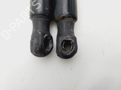 Tailgate lift support VW GOLF VI (5K1)  | BP29911059C138 