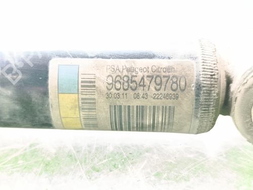 Right rear shock absorber CITROËN C3 II (SC_)  | BP29815609M19