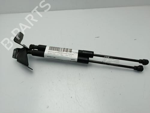 BP30411653C138 main image