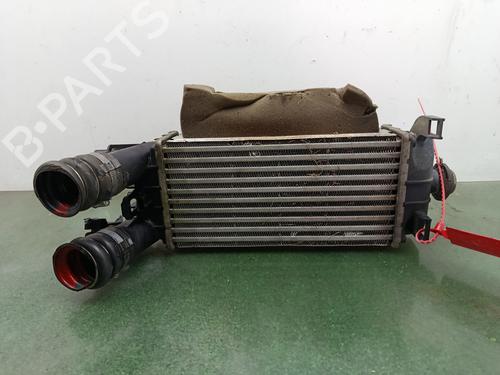 Intercooler Intercooler FORD TOURNEO COURIER B460 MPV 1.5 TDCi (75 hp) 36813126 36813126