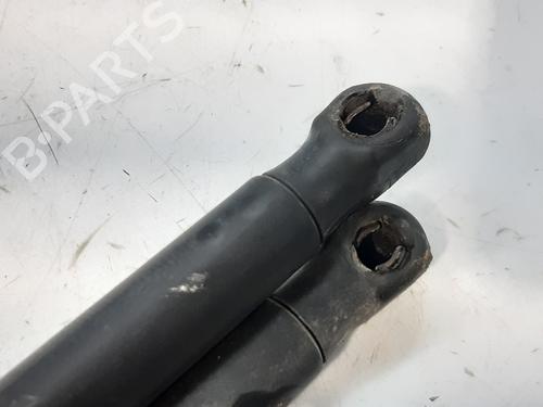Tailgate lift support FORD FIESTA VI (CB1, CCN) 1.25 | BP14000927C138 