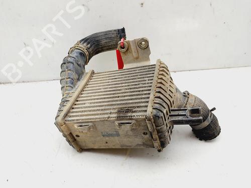 Intercooler KIA SPORTAGE II (JE_, KM_) 2.0 CRDi 4WD | BP18334377M30 