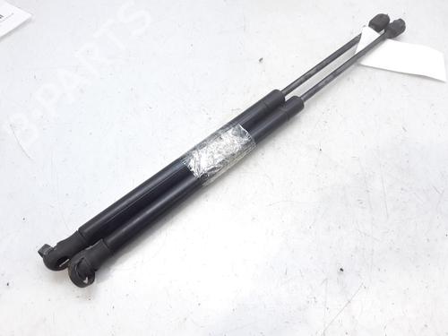Used Tailgate lift support CITROËN C3 I (FC_, FN_) 1.4 i Bivalent (73 hp) 14004772