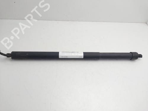 BP34343656C138 main image