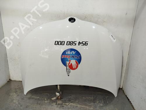 Motorhaube für SKODA RAPID (NH3, NK3, NK6) [2012-2022]  31265553