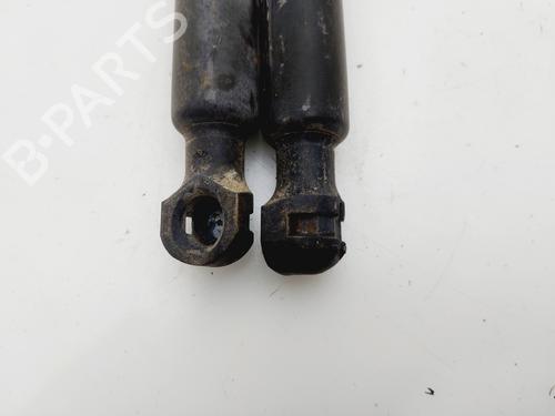 Tailgate lift support DACIA LOGAN MCV II  | BP29467865C138 