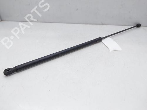 Hood lift support VW PASSAT B6 (3C2) 2.0 TDI | BP14009879C139 