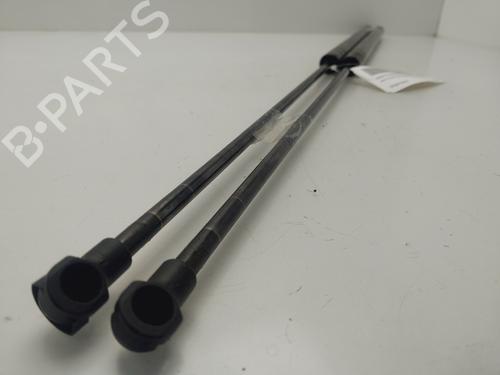 Tailgate lift support SEAT TOLEDO III (5P2)  | BP25441257C138 
