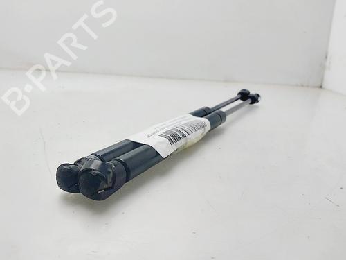 Used Tailgate lift support CHEVROLET AVEO / KALOS Hatchback (T250, T255) 1.2 (84 hp) 20291443