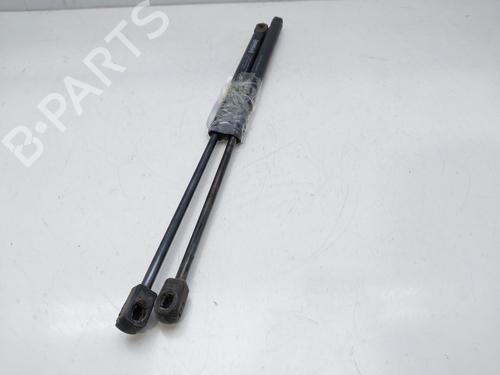 Tailgate lift support CITROËN XSARA Coupe (N0) 1.9 D | BP14010002C138 