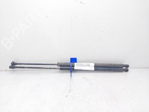 Used Tailgate lift support LAND ROVER RANGE ROVER SPORT I (L320) 3.6 D 4x4 (272 hp) 14008735