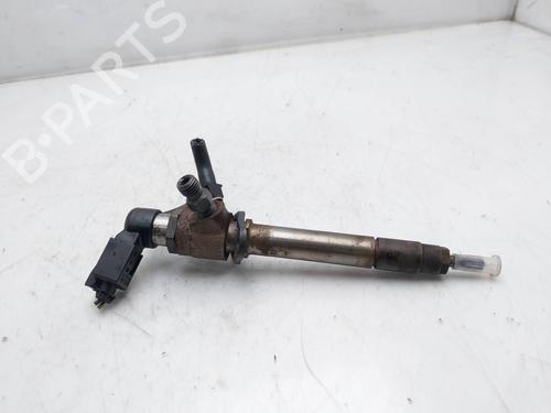 Injector LAND ROVER RANGE ROVER SPORT I (L320) 2.7 D 4x4 | BP17706836M100 