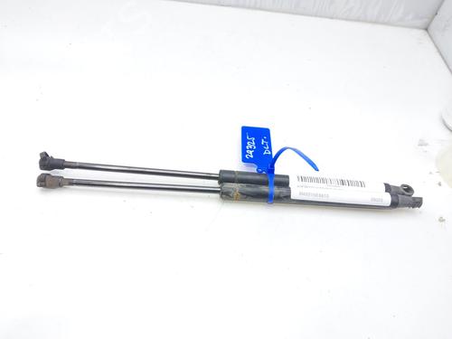 Used Hood lift support LAND ROVER RANGE ROVER SPORT I (L320) 3.6 D 4x4 (272 hp) 14007955
