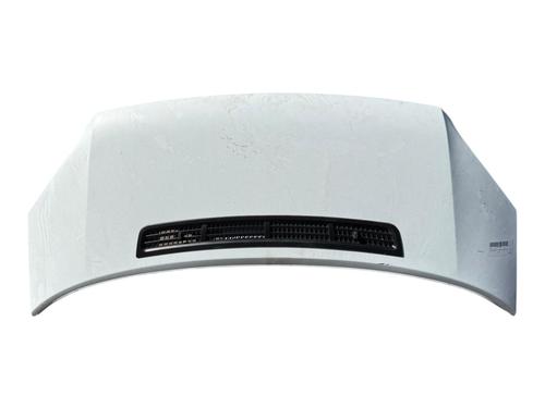 Motorhaube für Motorhaube 38171891 38171891
