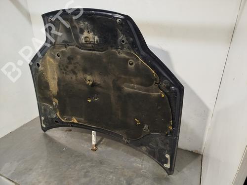 Hood RENAULT LAGUNA III (BT0/1) 2.0 dCi (BT07, BT0J, BT14, BT1A, BT1S) | BP31611216C1