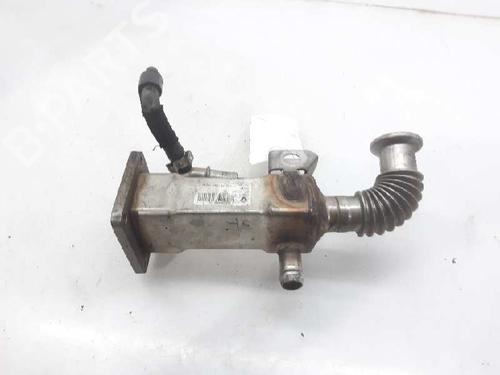 EGR-Ventil RENAULT SCÉNIC II (JM0/1_) [2003-2010]  13996527