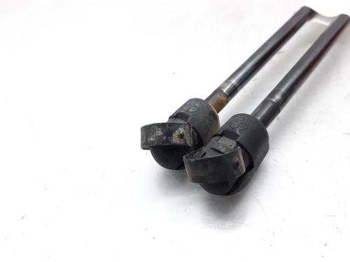 Tailgate lift support RENAULT SCÉNIC II (JM0/1_) 1.9 dCi (JM0G, JM12, JM1G, JM2C) | BP13999073C138 
