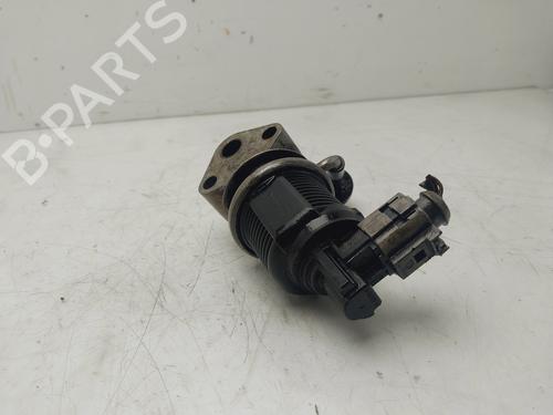 Egr SEAT IBIZA III (6L1)  | BP26610316M69 