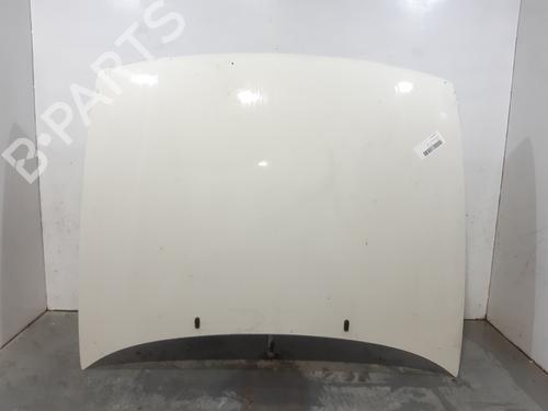 Used Hood SEAT IBIZA II (6K1) 1.9 TDI (90 hp) 10769869