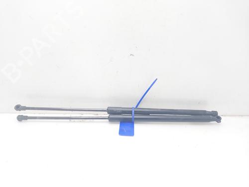 Tailgate lift support NISSAN QASHQAI I (J10, NJ10) 2.0 dCi | BP14007772C138 